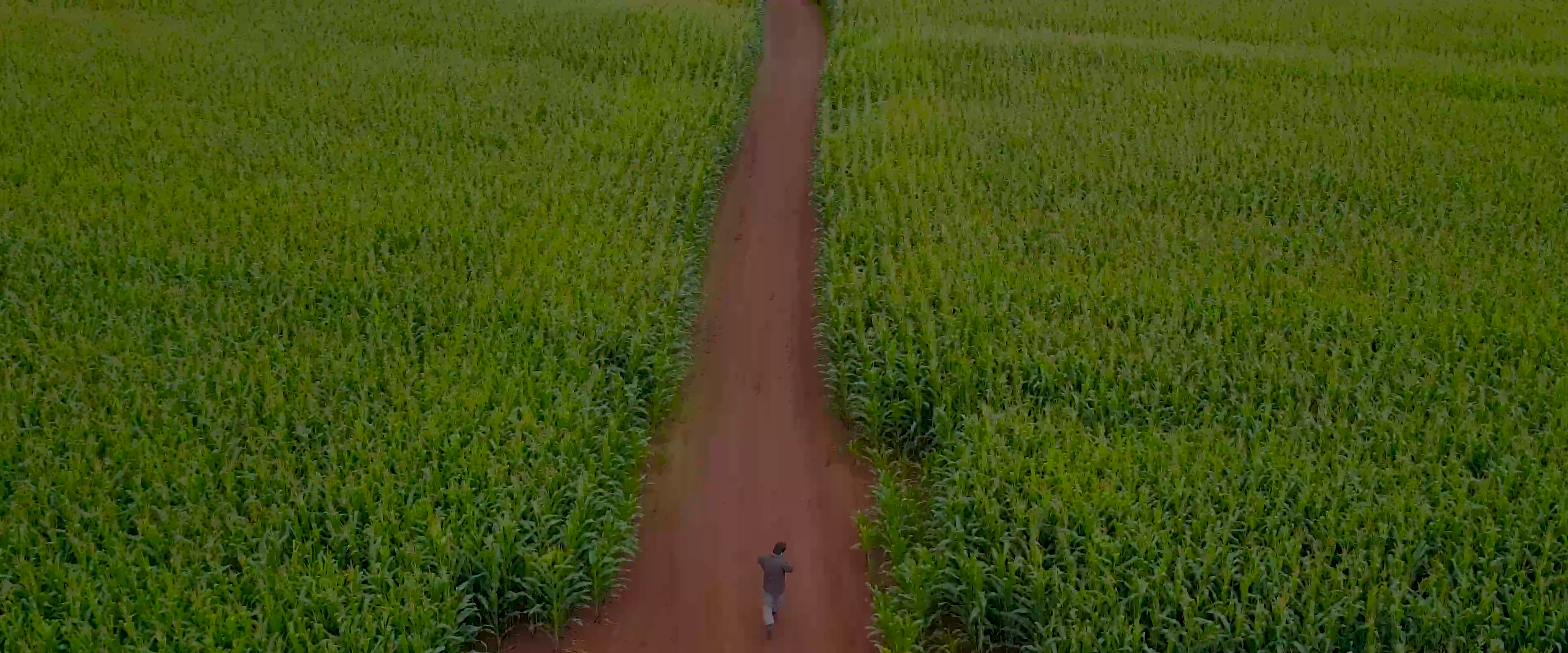 Scene 3